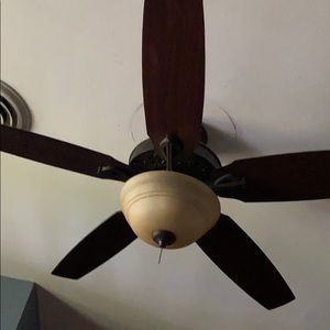 Meet your Posher, Steph